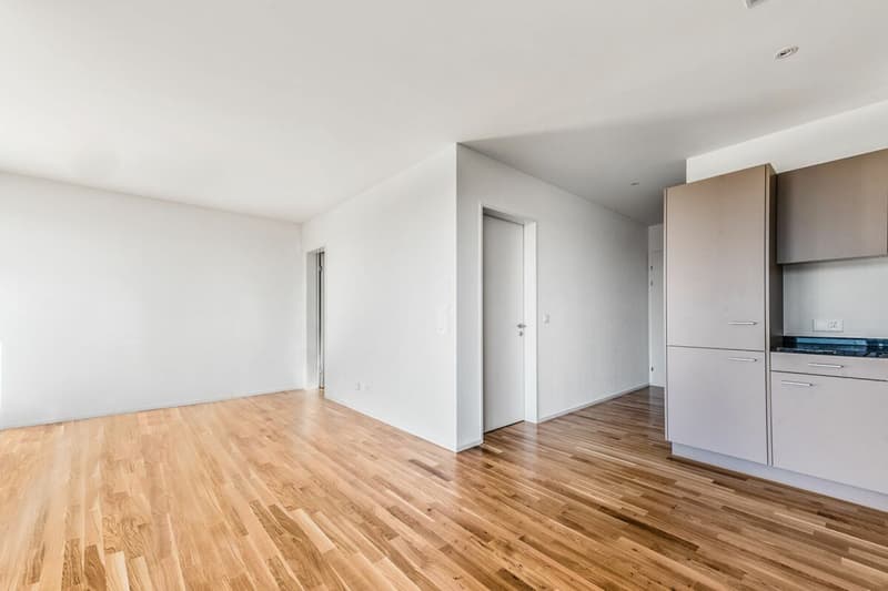 Moderne 2½ Zimmer Wohnung (3)