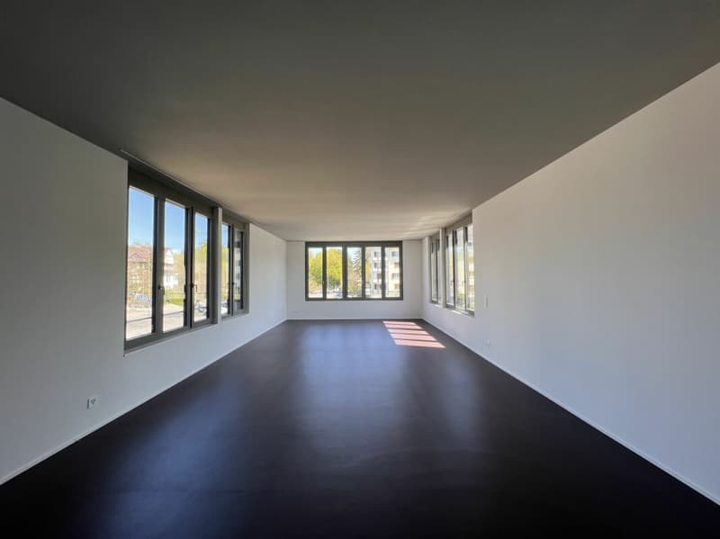 Elegantes Loft in bester Zentrumslage (2)