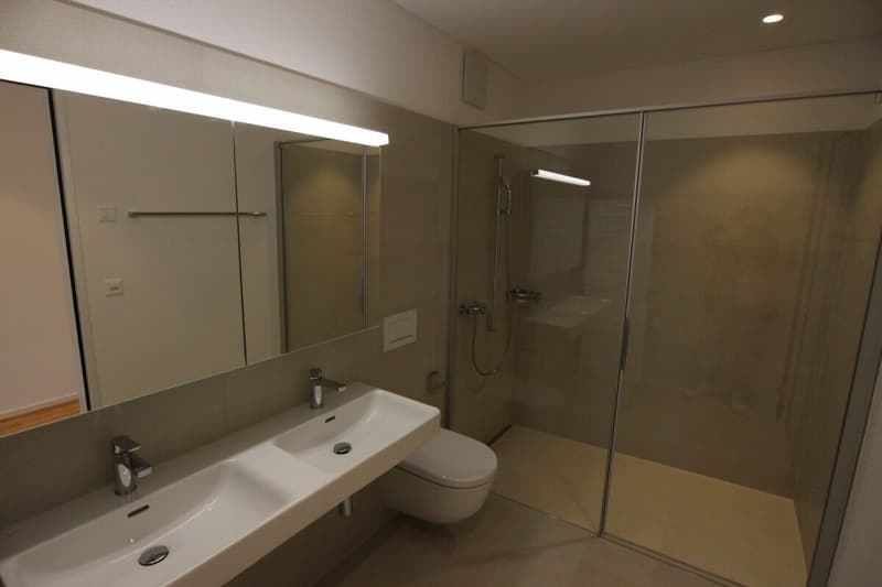 Traumwohnung in St. Margrethen (7)