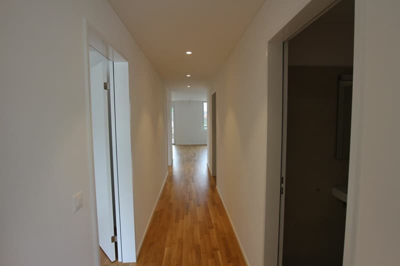 Traumwohnung in St. Margrethen (5)