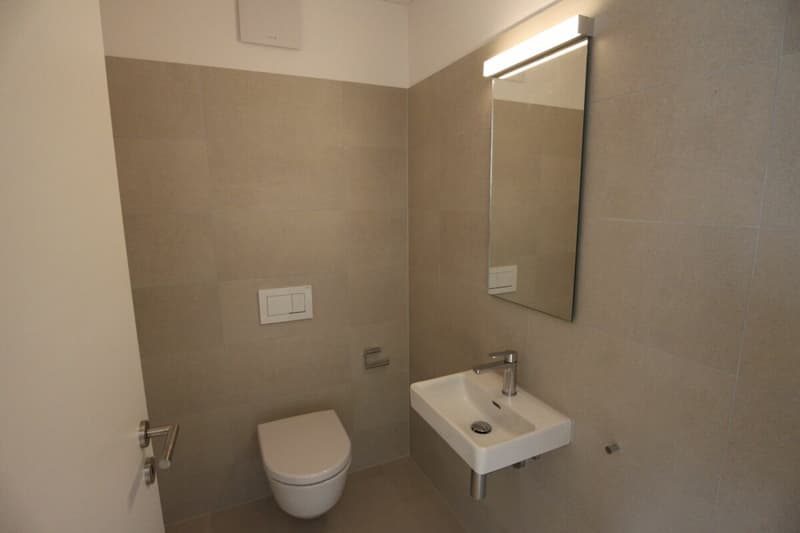 Traumwohnung in St. Margrethen (9)