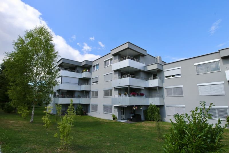 Modern, ruhig und günstig - Wohnen im Besmer (1)