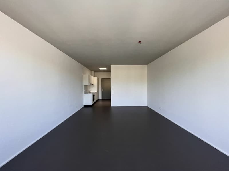 Moderne 1-Zimmer Stadtwohnung sucht neue Mieter (2)