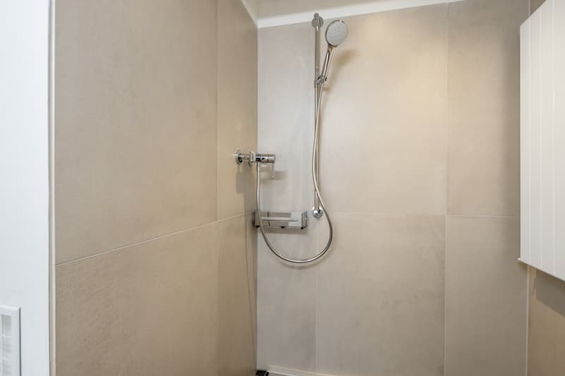 Neu sanierte, grosszügige 4.5-Zimmer-Wohnung mit Balkon in Zürich Oerlikon (13)