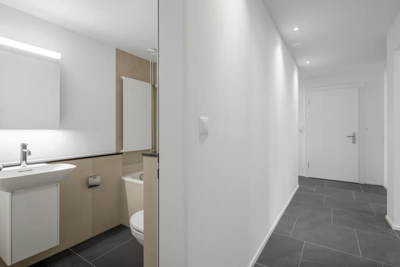 Neu sanierte, grosszügige 4.5-Zimmer-Wohnung mit Balkon in Zürich Oerlikon (11)