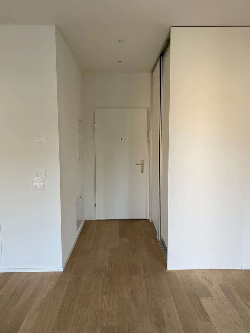 Abitare esclusivo in qualità di proprietà - 2,5 locali appartamento nuovo a Zurigo-Seebach (5)