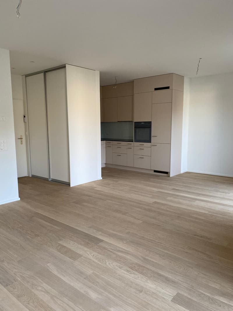 Abitare esclusivo in qualità di proprietà - 2,5 locali appartamento nuovo a Zurigo-Seebach (3)