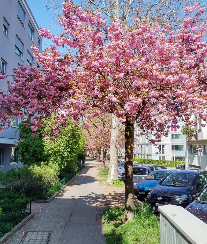 Gewerberäume an der Oerlikonerstrasse 47 in Zürich (1)