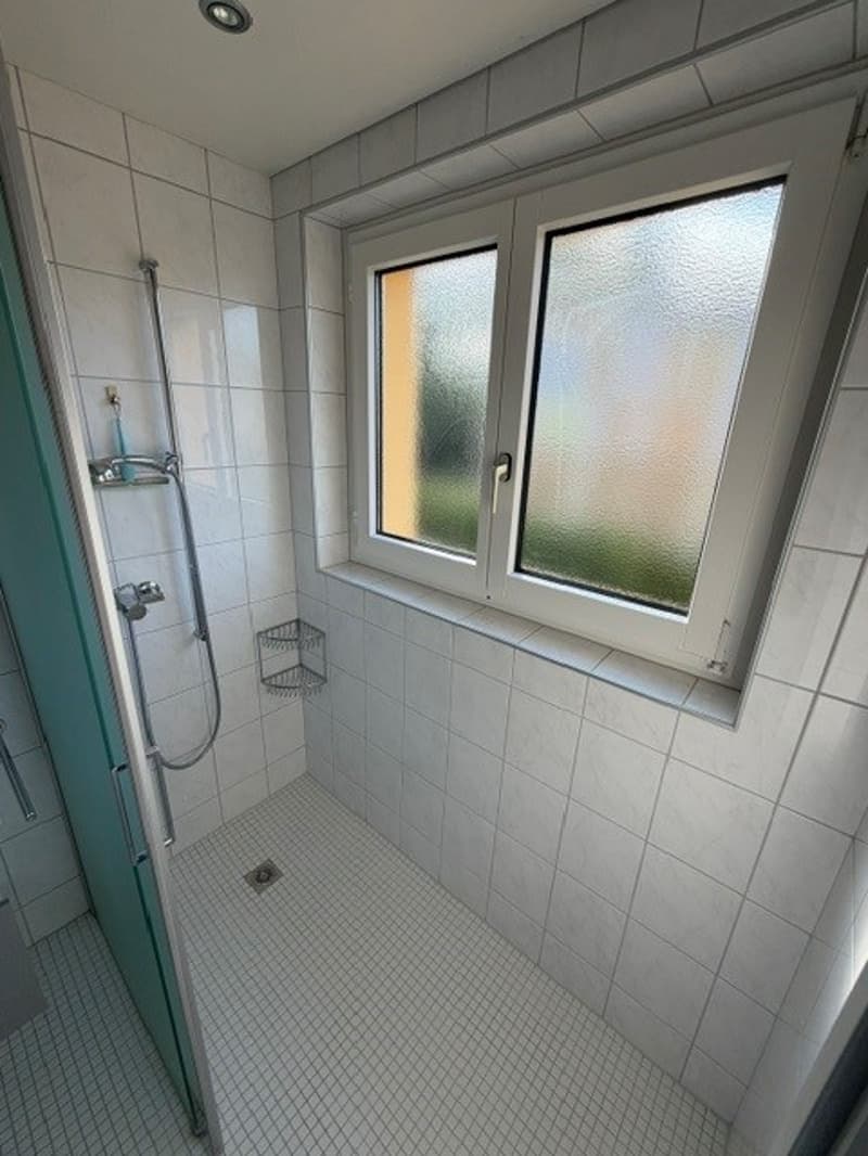 Idyllische 4.5-Zimmer-Wohnung mit Balkon und Garagenbox in Oberhasli (16)