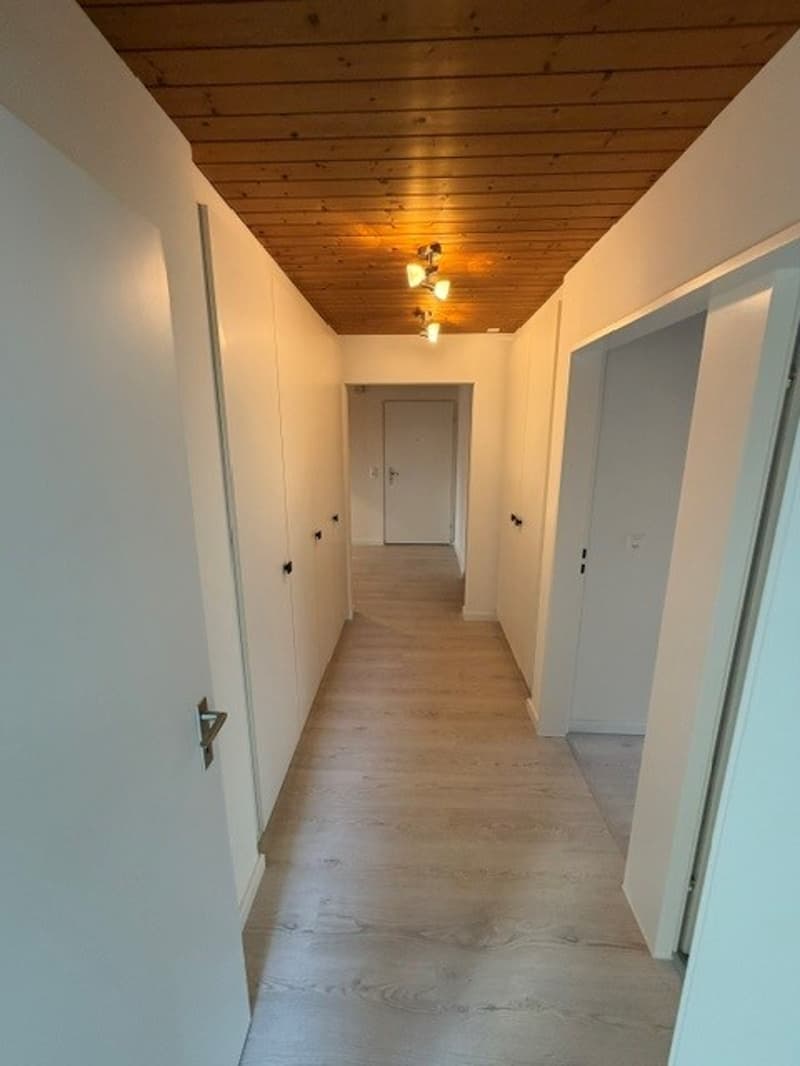 Idyllische 4.5-Zimmer-Wohnung mit Balkon und Garagenbox in Oberhasli (11)