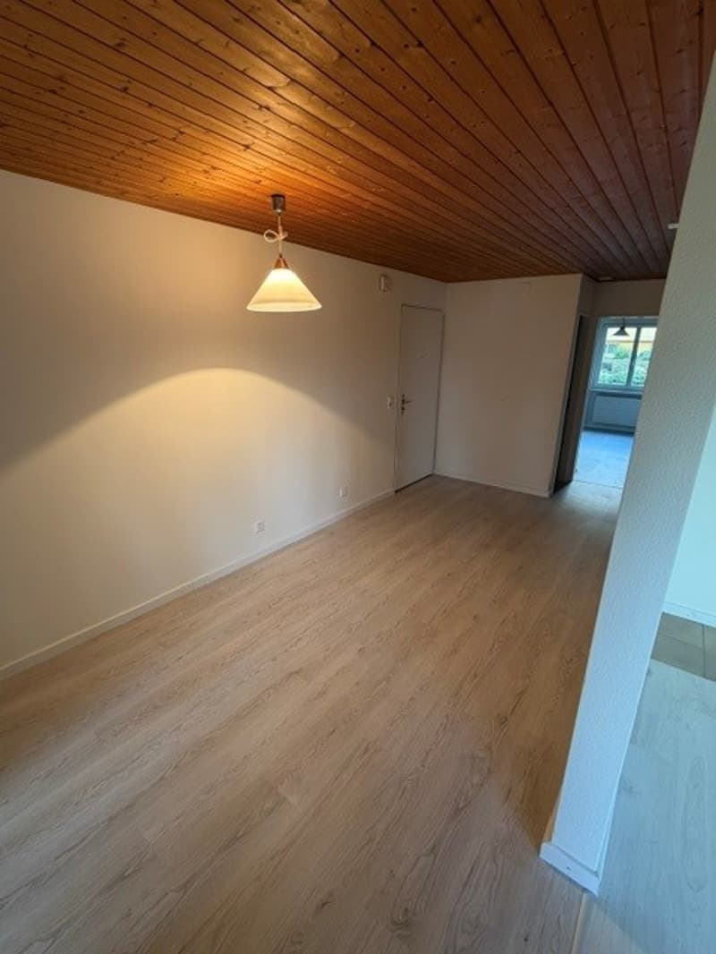 Idyllische 4.5-Zimmer-Wohnung mit Balkon und Garagenbox in Oberhasli (8)