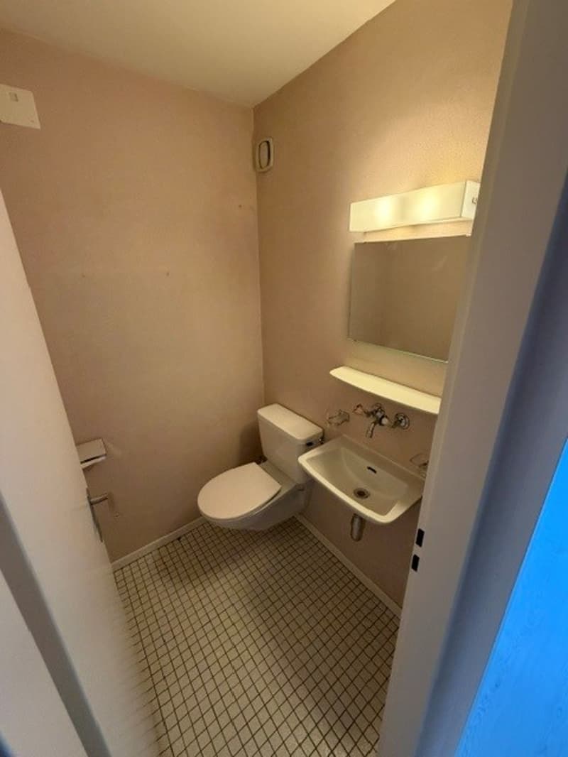 Idyllische 4.5-Zimmer-Wohnung mit Balkon und Garagenbox in Oberhasli (9)
