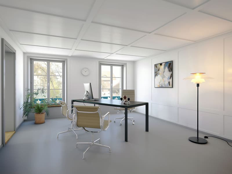 Historisches Büro/Praxisräume 150 m2 (2)