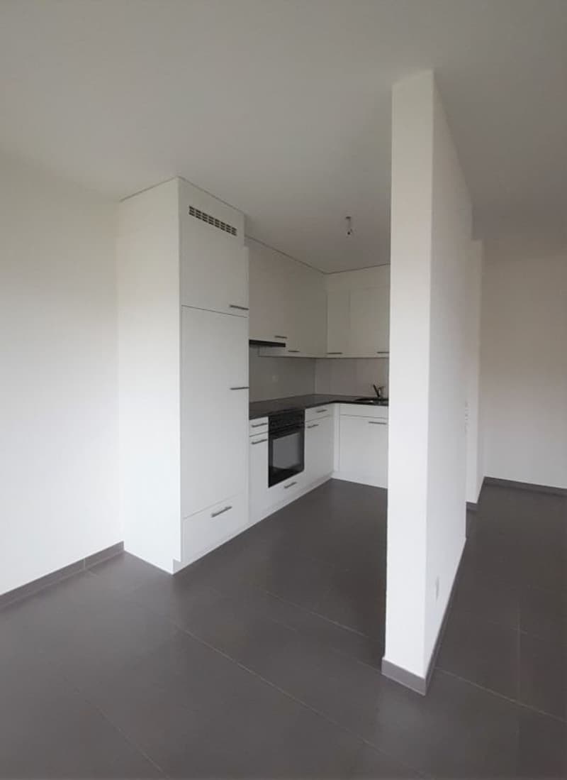 Lichtdurchflutete 3.5 Zimmer im 1. Obergeschoss (3)