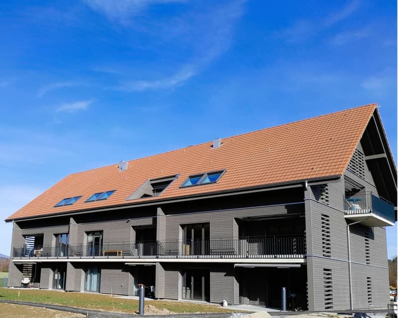 Gemütliche 2.5- Zi- Dachwohnung mit Galerie in der neuen Überbauung "Hübsche Mätteli" an ruhiger und zentraler Lage (1)