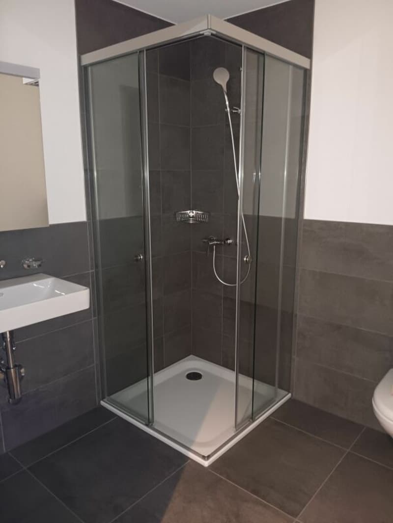Traumhafte 5.5- Zi- Dachwohnung mit Galerie in der neuen Überbauung "Hübsche Mätteli" an ruhiger und zentraler Lage (5)