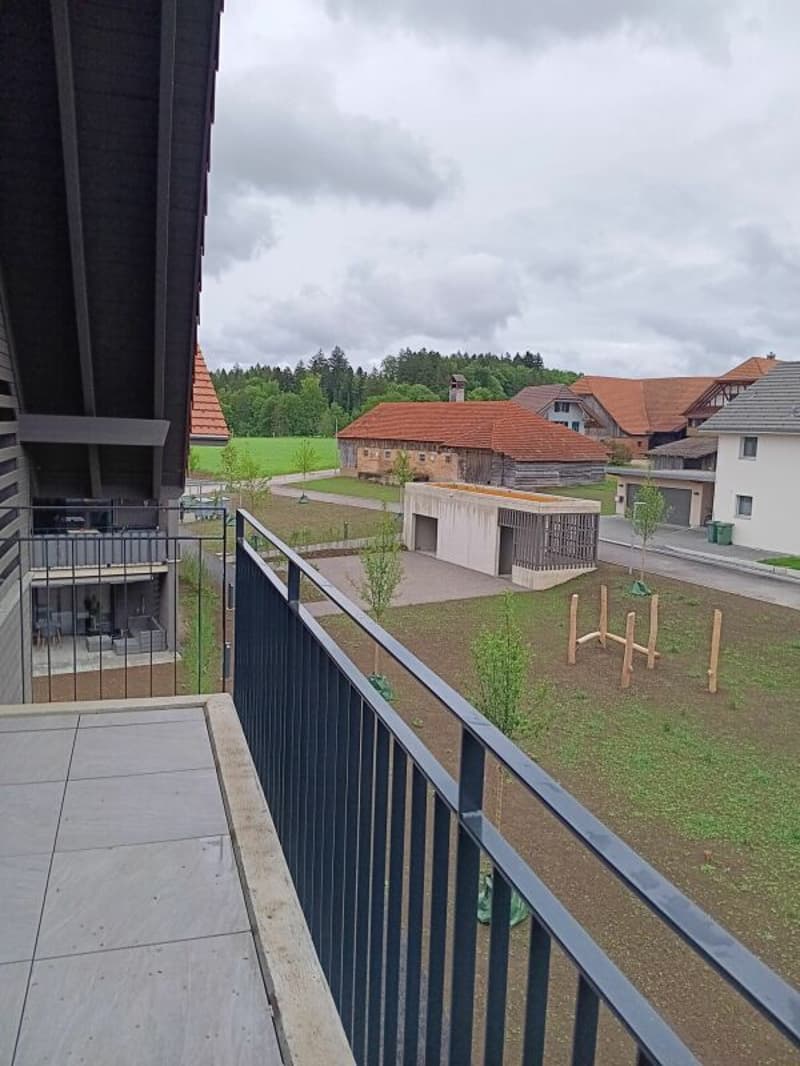Traumhafte 5.5- Zi- Dachwohnung mit Galerie in der neuen Überbauung "Hübsche Mätteli" an ruhiger und zentraler Lage (8)