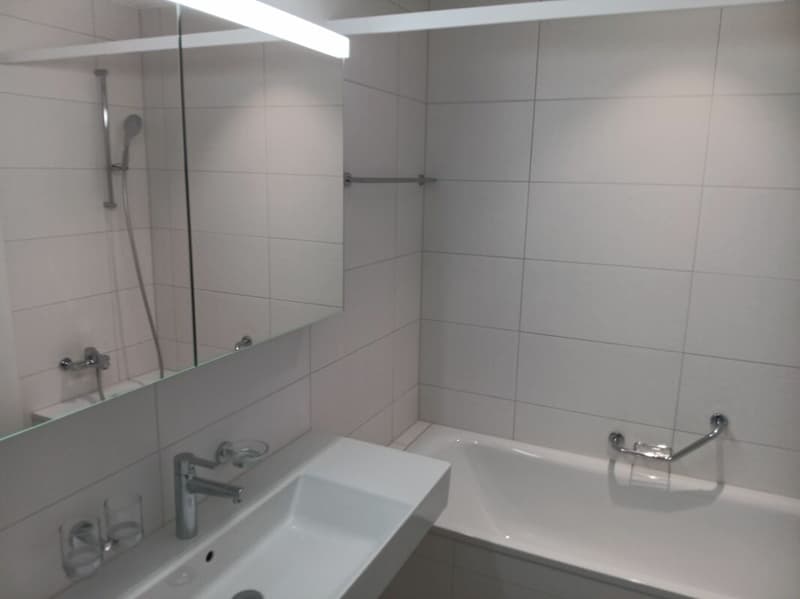 Moderne 4.5-Zimmerwohnung Au Milavy in Avenches (10)