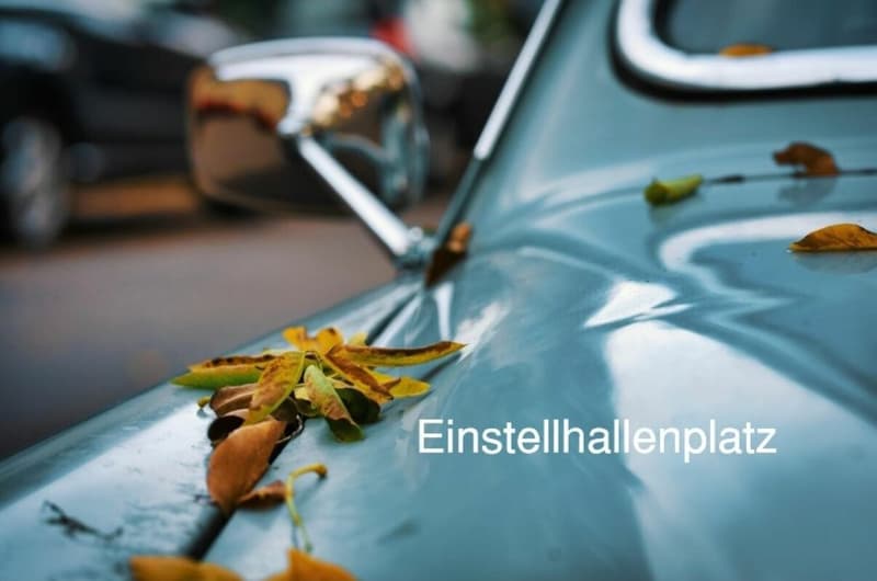 ZU VERMIETEN neue Einstellhallenplätze in Rapperswil (1)