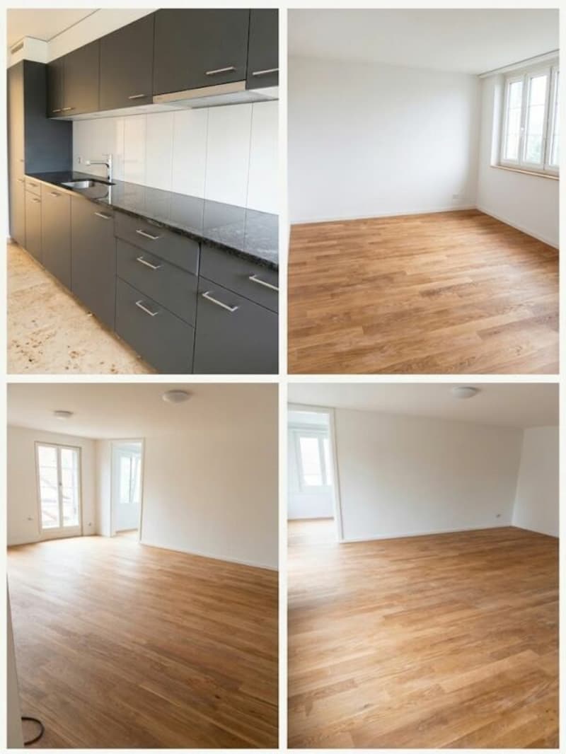 Wunderschöne renovierte 3.5 Zimmer Wohnung (3)