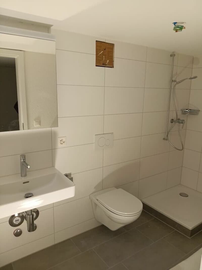 Wunderschöne renovierte 4.5 Zimmer Wohnung (4)