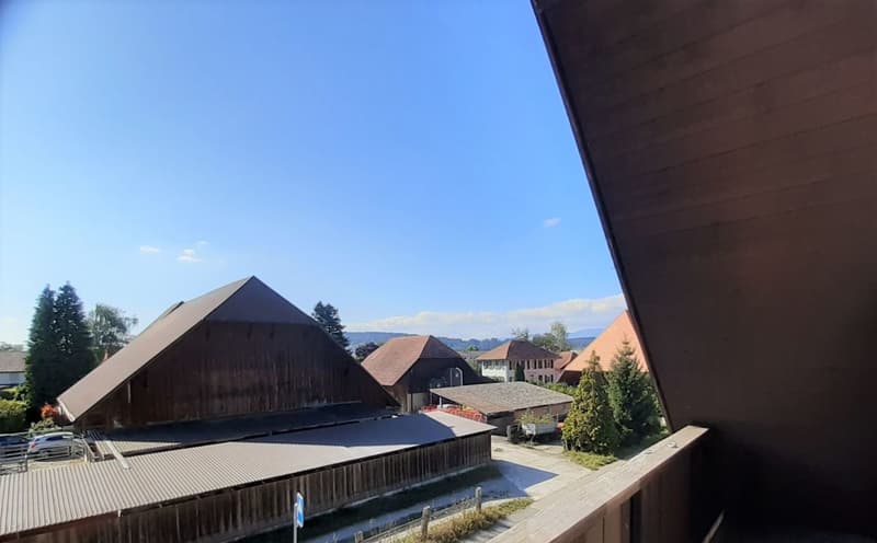 Attraktive und grosszügige 4-Zimmer-Dachwohnung mit Galerie, 143 m² Wohnfläche. Die Wohnung überzeugt mit einem hellen, offenen Raumkonzept sowie einer neuen, modernen Küche und einem stilvoll re … (10)