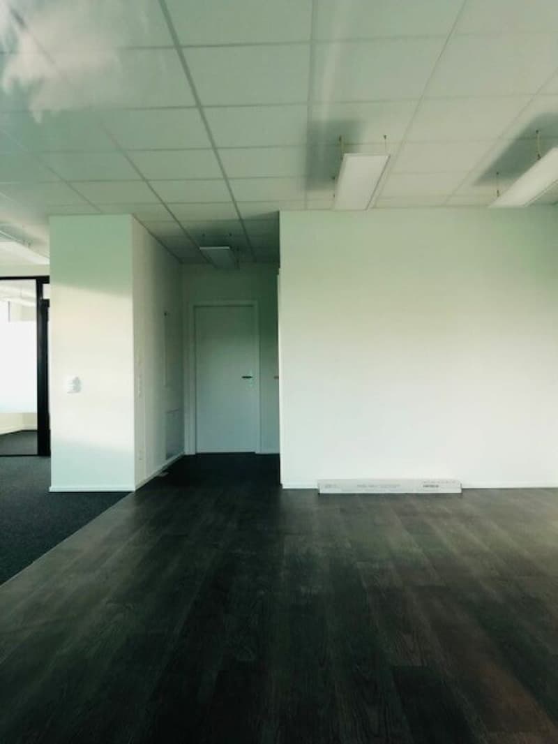 Geschäftsflächen im Gewerbezentrum Au Milavy 127 m2 (6)
