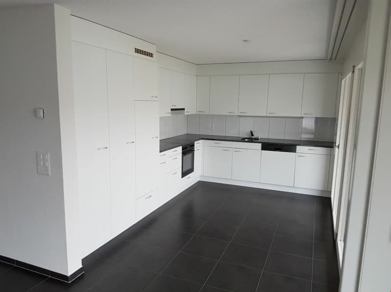 Grosse, moderne Wohnung mit Balkon (1)