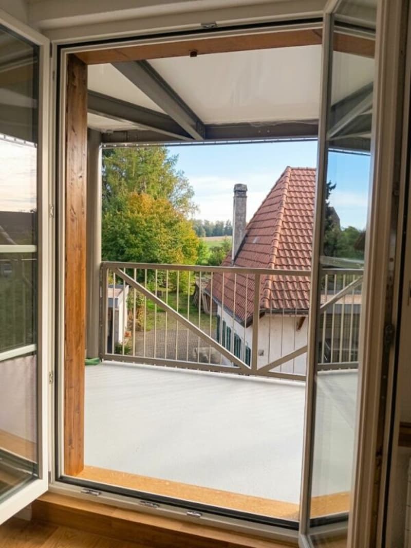 Wunderschöne renovierte 3.5 Zimmer Wohnung (7)