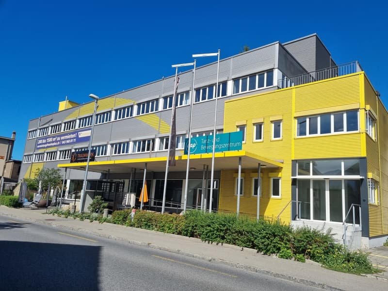 Gewerbe (Dienstleistung) Ex-Livique Gebäude / Richtpreis CHF 200.00/m2 (1)