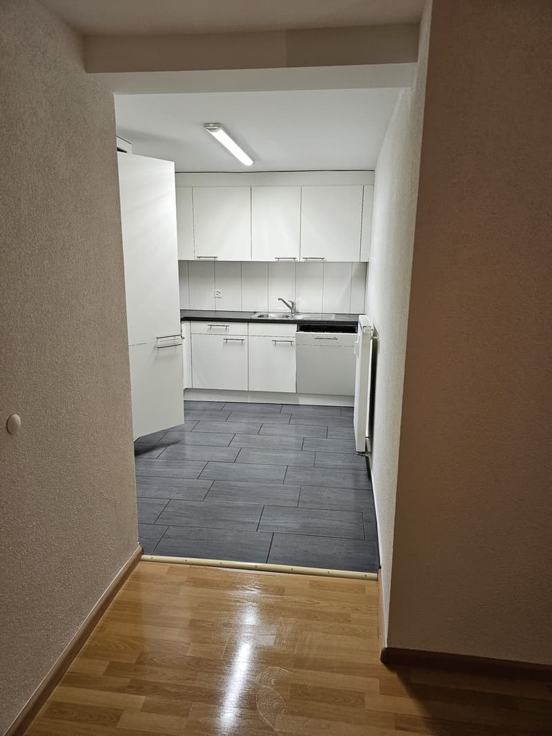 3.5 Neuwertige Zimmer Wohnung in Pratteln mieten!!! (1)