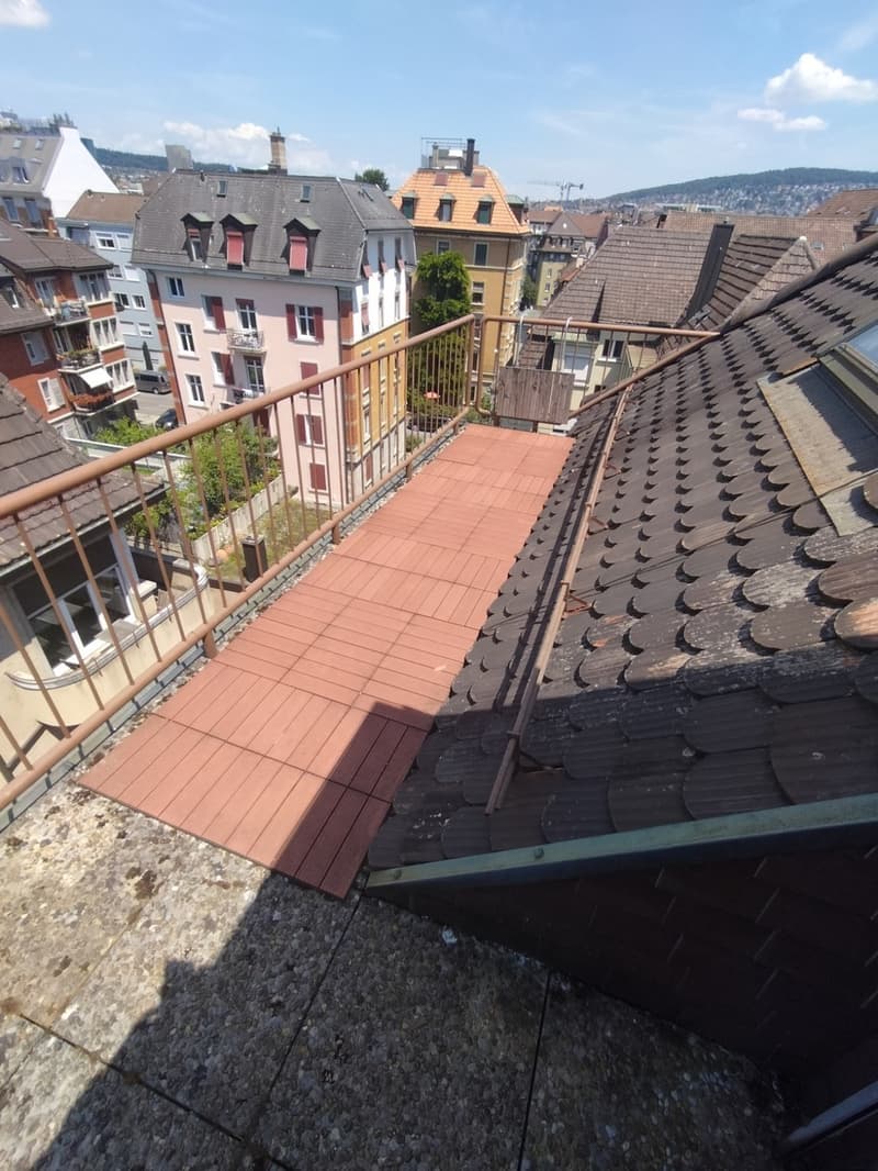 Panorama über den Dächern der City (6)