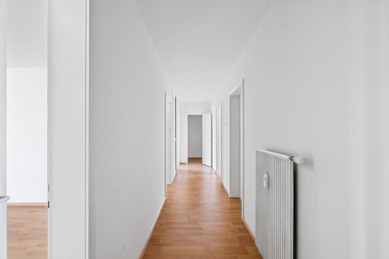 Jetzt einziehen - frisch renovierte Wohnung  ruhig, grün & zentral (8)
