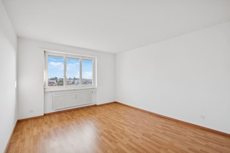 Jetzt einziehen - frisch renovierte Wohnung  ruhig, grün & zentral (10)