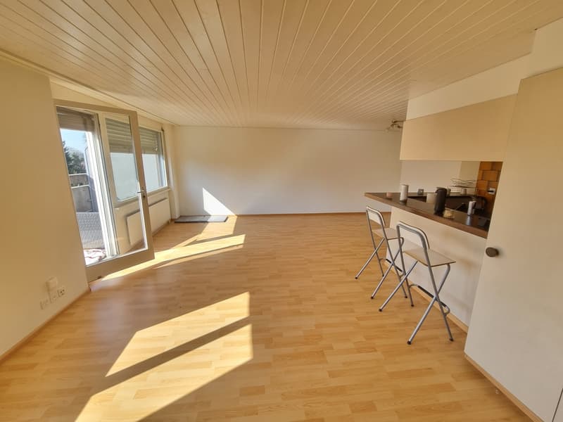 Appartement en attique pour une ou deux personnes ? (3)