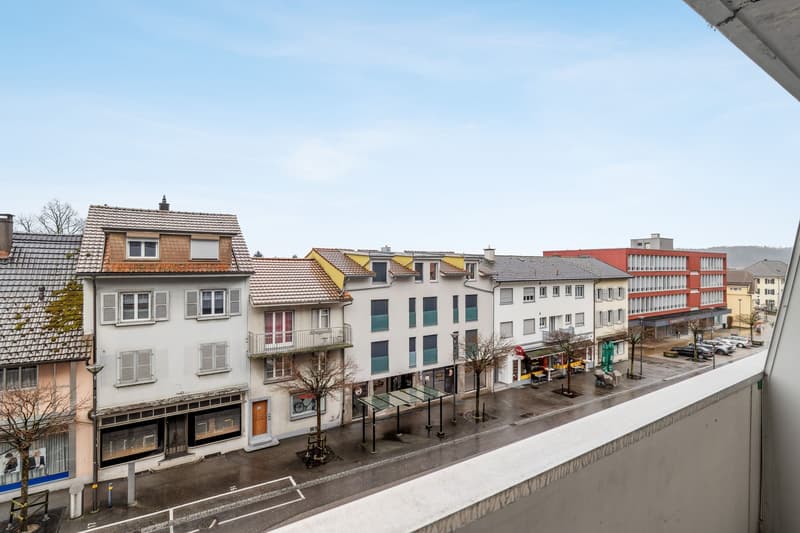 Jetzt einziehen - frisch renovierte Wohnung  ruhig, grün & zentral (10)