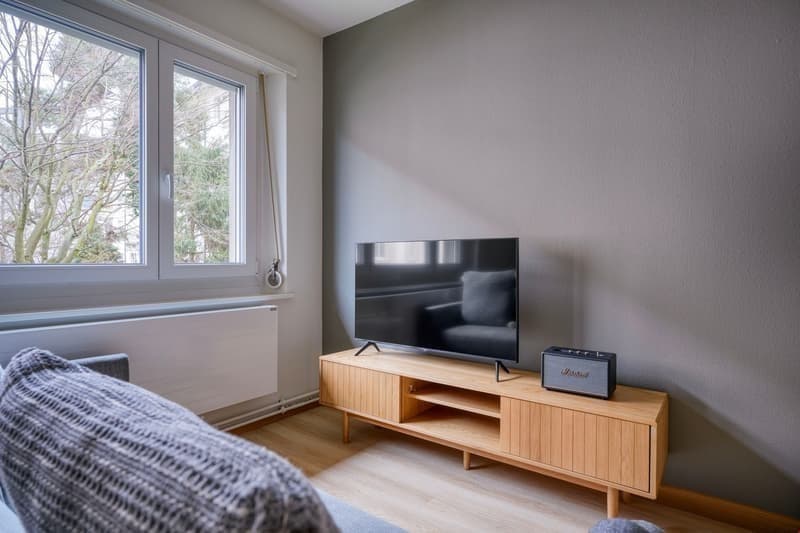 Schmiede Wiedikon / Mindestmietdauer 6 Monate! (7)
