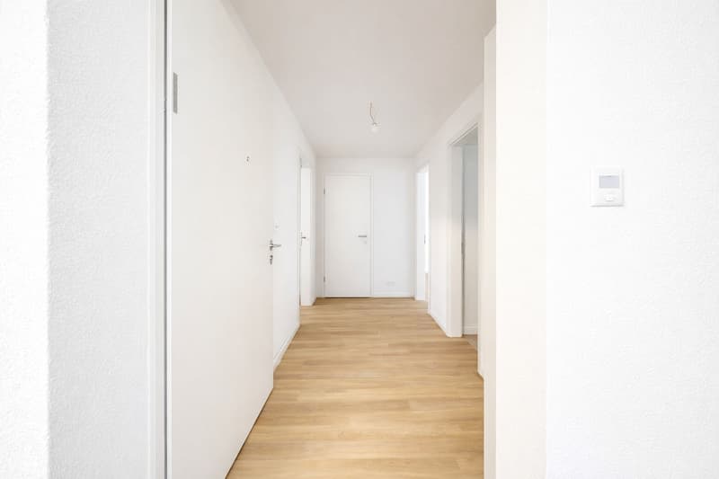 Top neu sanierte Liegenschaft (6)