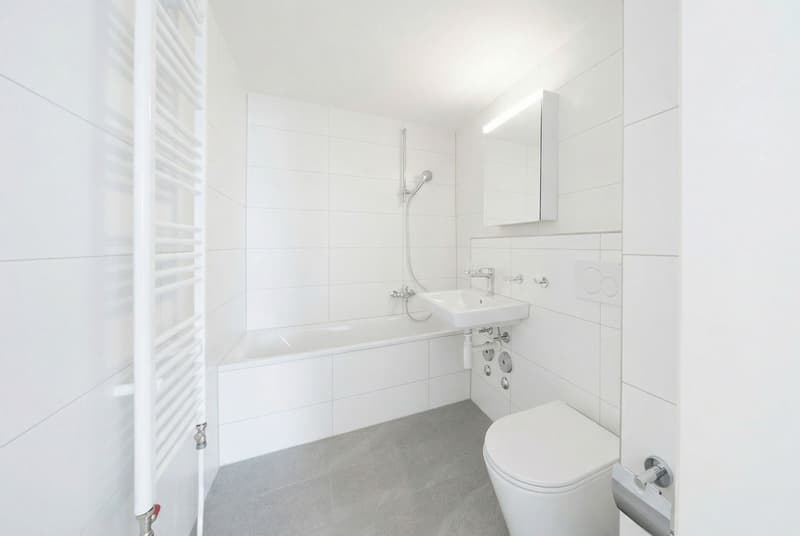 Top neu sanierte Liegenschaft (3)