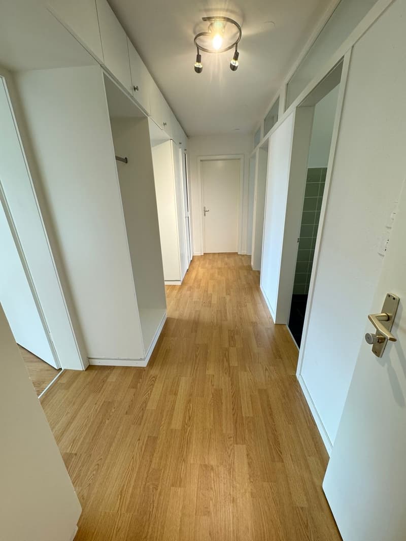 Tolle Wohnung mit grossem Balkon an zentraler und ruhiger Lage! (3)
