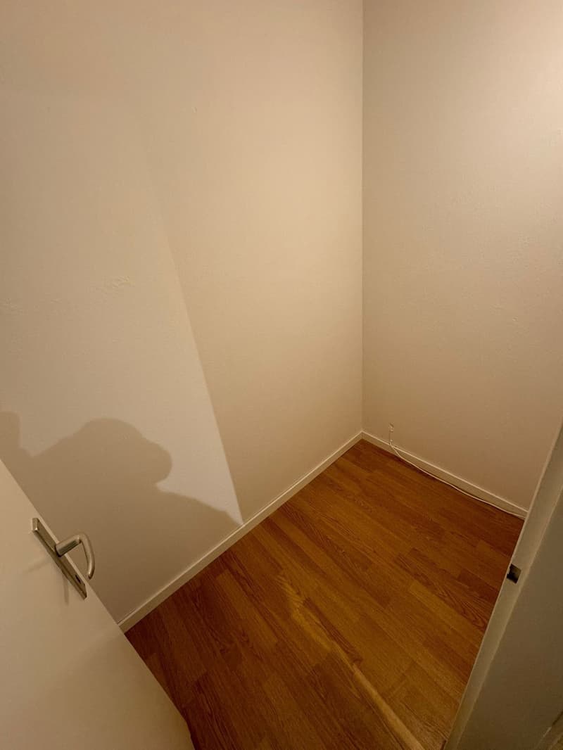 Tolle Wohnung mit grossem Balkon an zentraler und ruhiger Lage! (6)