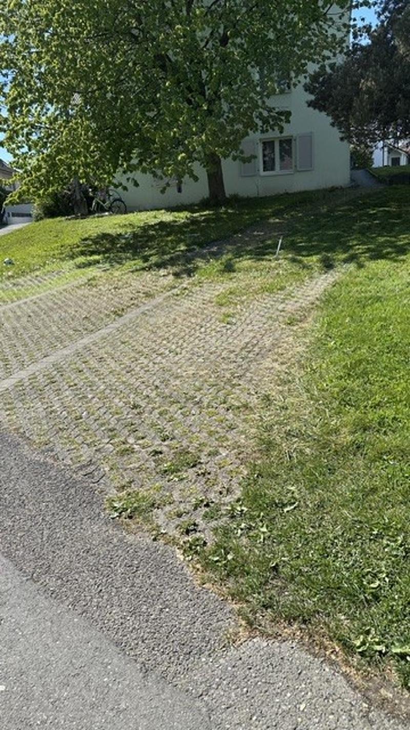 Preiswerte Aussenparkplätze zu vermieten! (3)