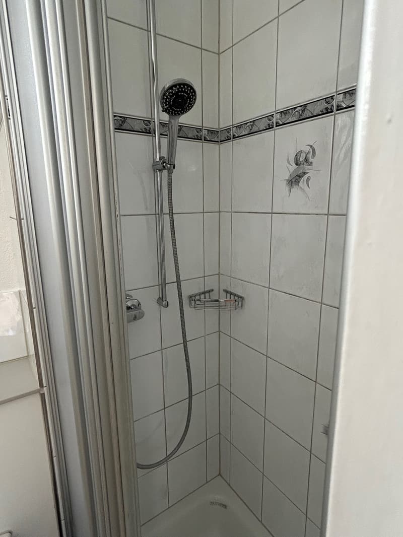 Attraktive, wunderschöne Wohnung (5)