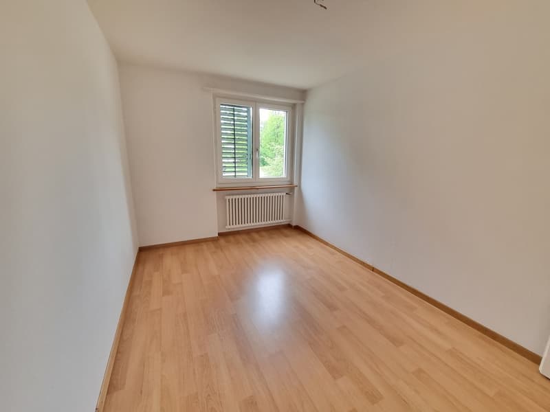 Grosse komfortable 4.5 Zimmerwohnung mit tollen Gartensitzplatz (5)