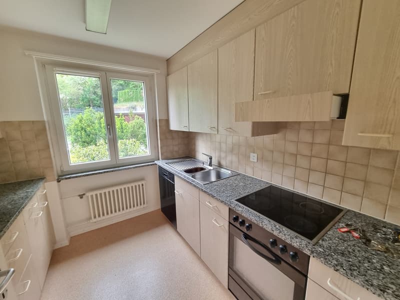 Grosse komfortable 4.5 Zimmerwohnung mit tollen Gartensitzplatz (2)