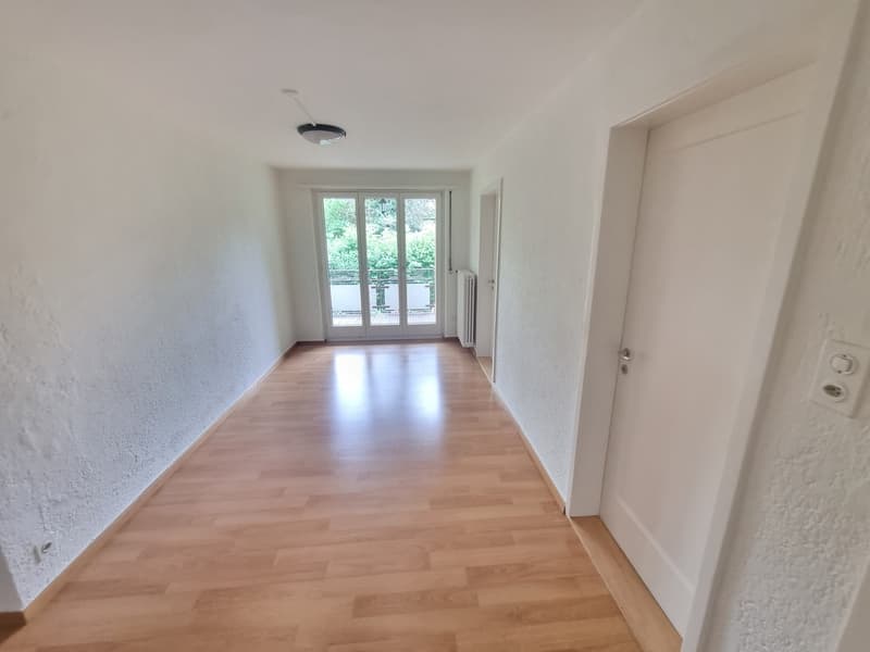 Grosse komfortable 4.5 Zimmerwohnung mit tollen Gartensitzplatz (6)