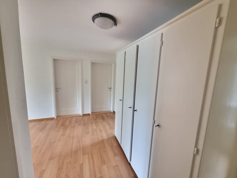 Grosse komfortable 4.5 Zimmerwohnung mit tollen Gartensitzplatz (4)