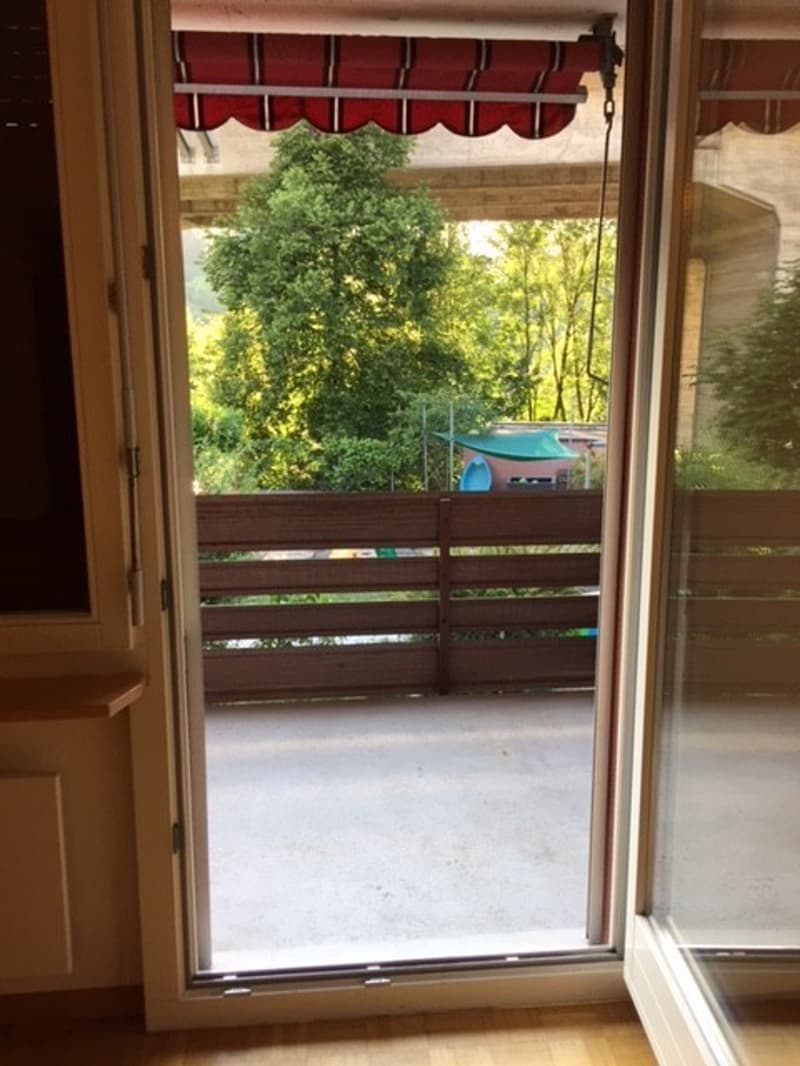 Wunderschönde Wohnung Im Zentrum von Bern (7)