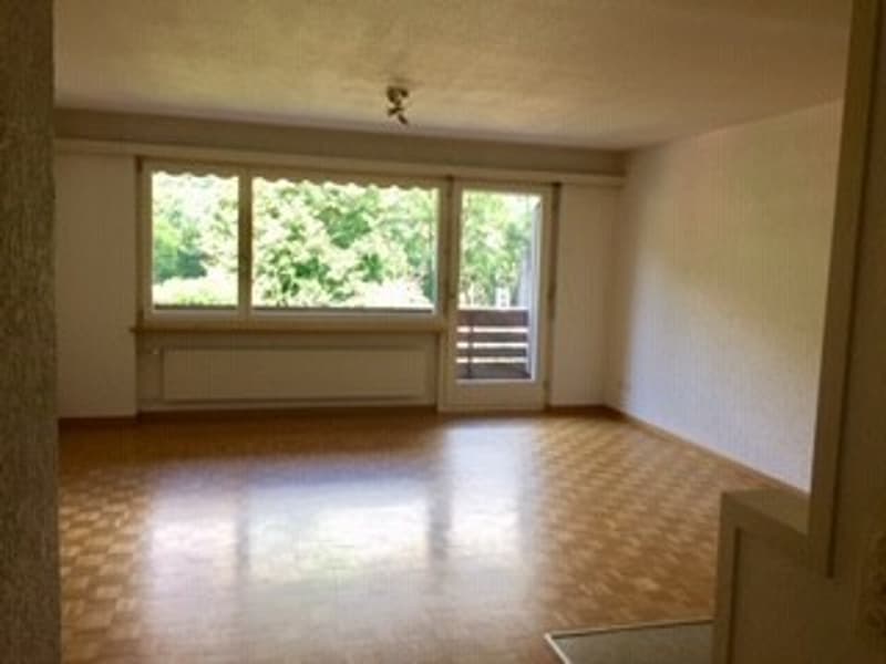 Wunderschönde Wohnung Im Zentrum von Bern (6)