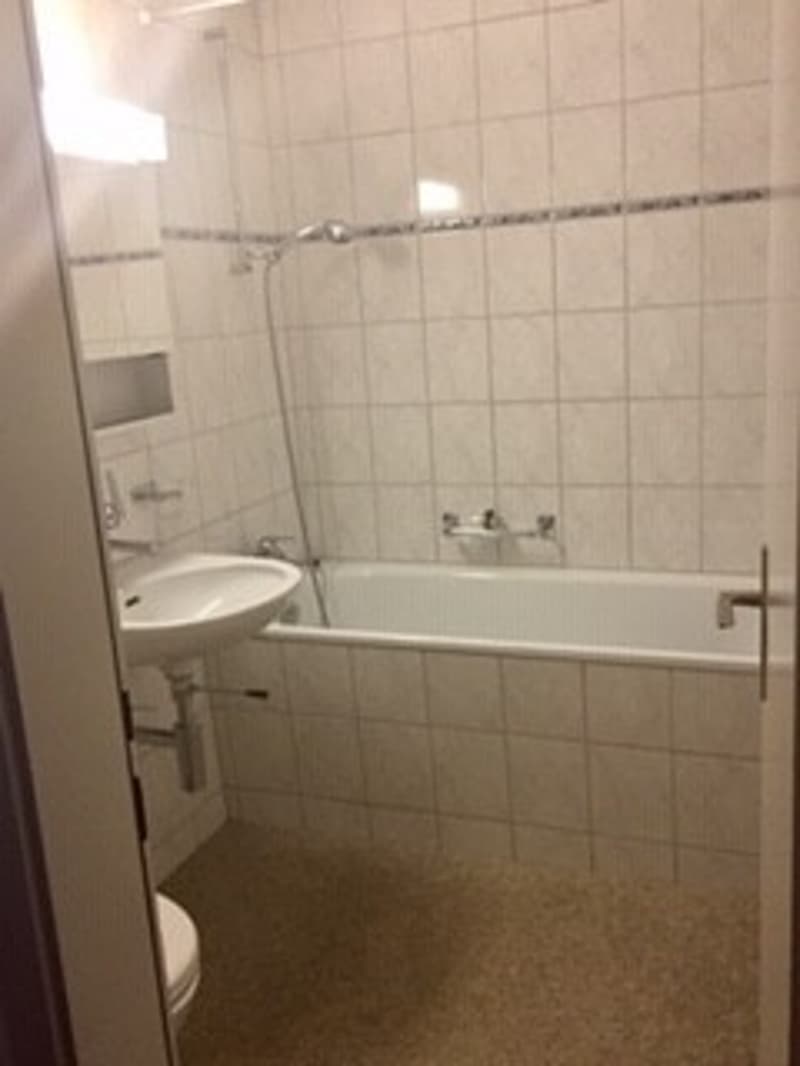 Wunderschönde Wohnung Im Zentrum von Bern (4)